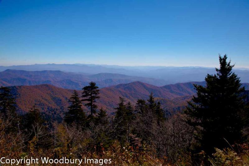 Woodbury Images | Maine Nature Photography